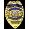 TORRANCE, CA POLICEMAN POLICE DEPARTMENT MINI BADGE PIN